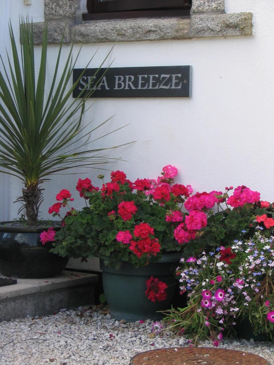 Sea Breeze Bed and Breakfast St Ives Exterior foto